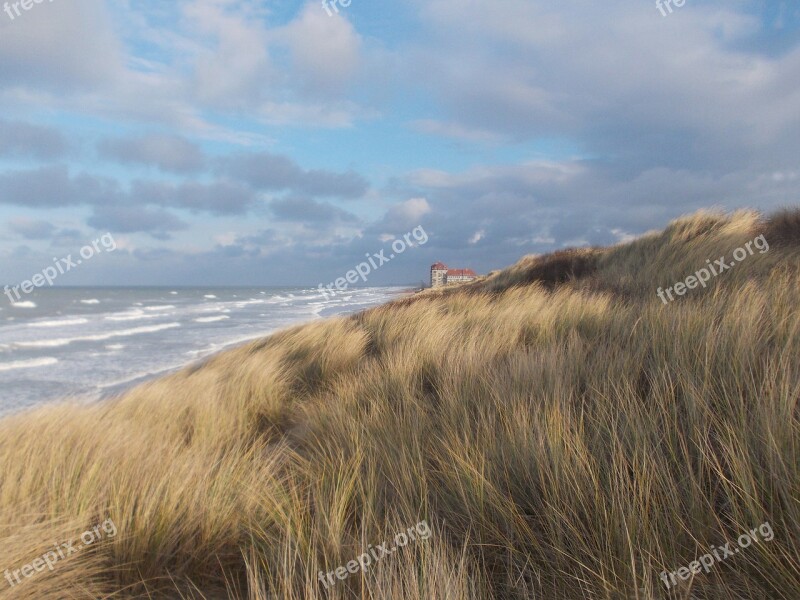 Dunes Foredune Oyats Beach Bray-dunes