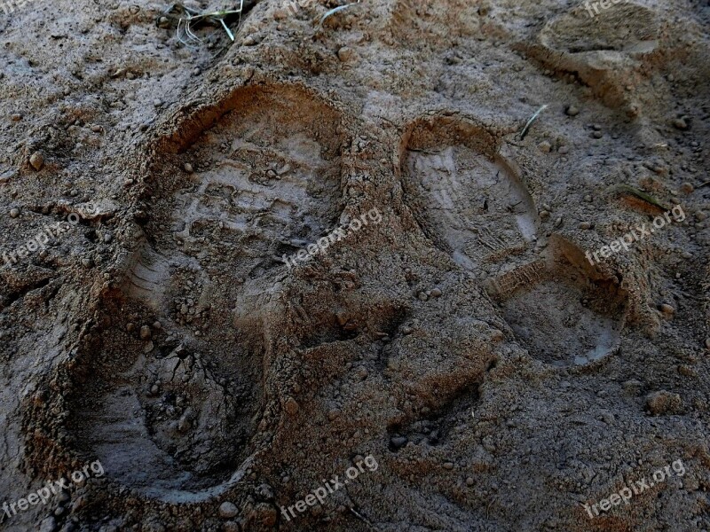 Foot Prints Mud Foot Dirt Walking