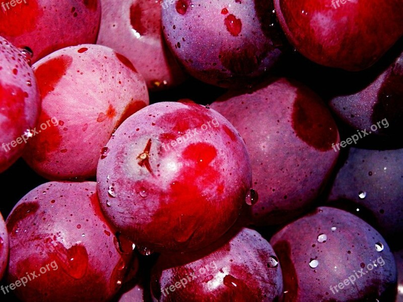 Grapes Fruit Grape Fruit Washed Free Photos