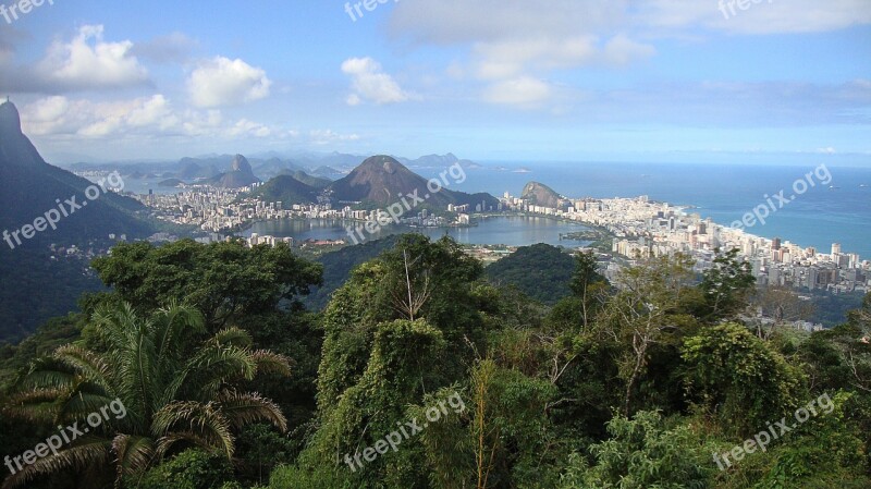 Rio De Janero Brazil City South America Jungle