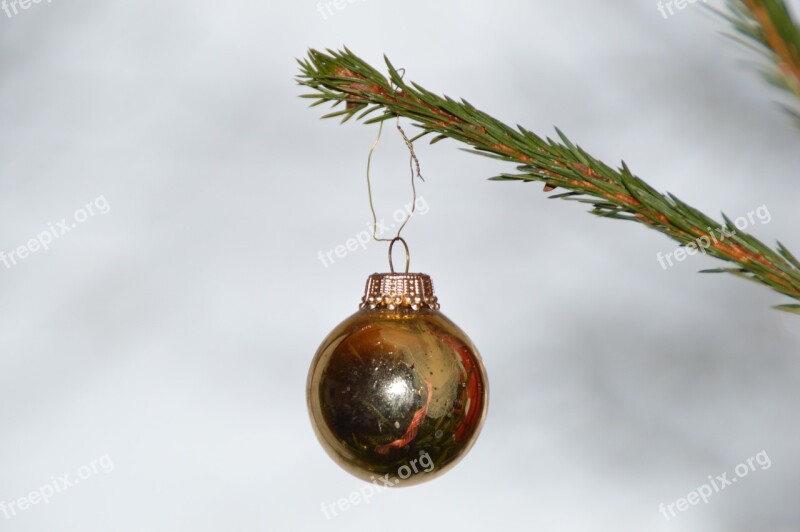 Christmas Ornament Christmas Christmas Tree Christmas Decorations Free Photos