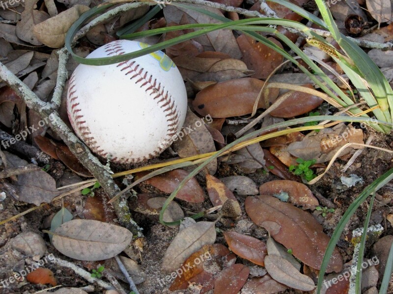 Baseball Ball Sports Play American