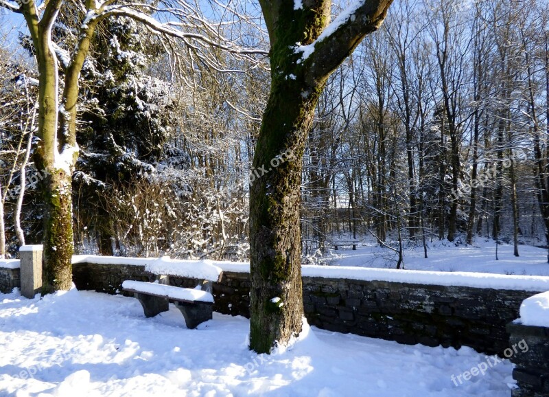 Winter Landscape Snow Besneeuw Winter Bench