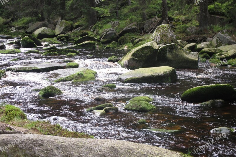 River šumava Stones Nature Free Photos