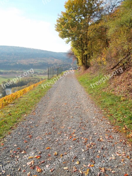 Tree Away Lane Nature Landscape