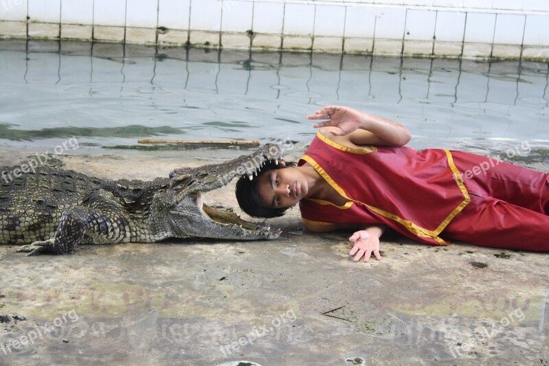 Fakir Crocodile Show Animal Dangerous