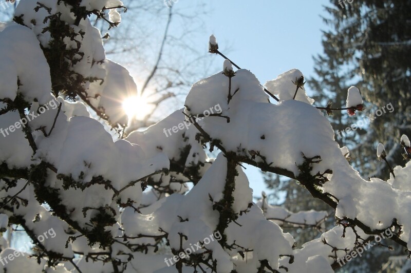 Sunlight Snow Sky Winter Wintry