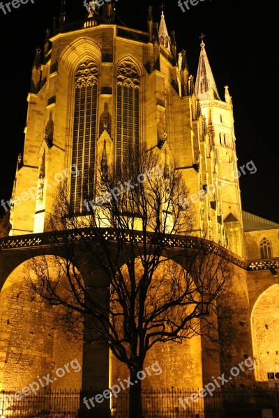 Erfurt Dom Illuminated Tree Kahl