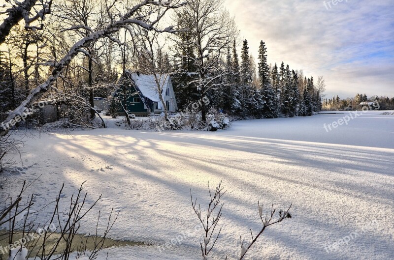 Landscape Winter Snow Ice Trees