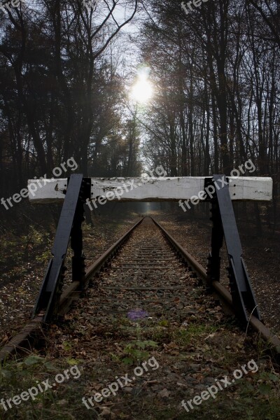 Buffer Stop Siding Glade Forest Trees