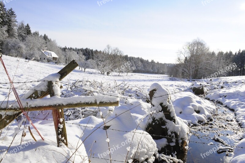 Snow Landscape Forest Sun Bach Free Photos