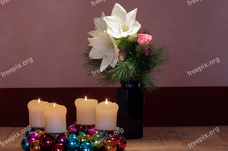 Advent Wreath Amaryllis White Flowers Flower