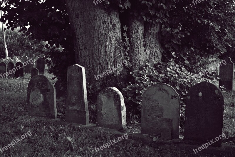 Cemetery Jewish Headstone Free Photos