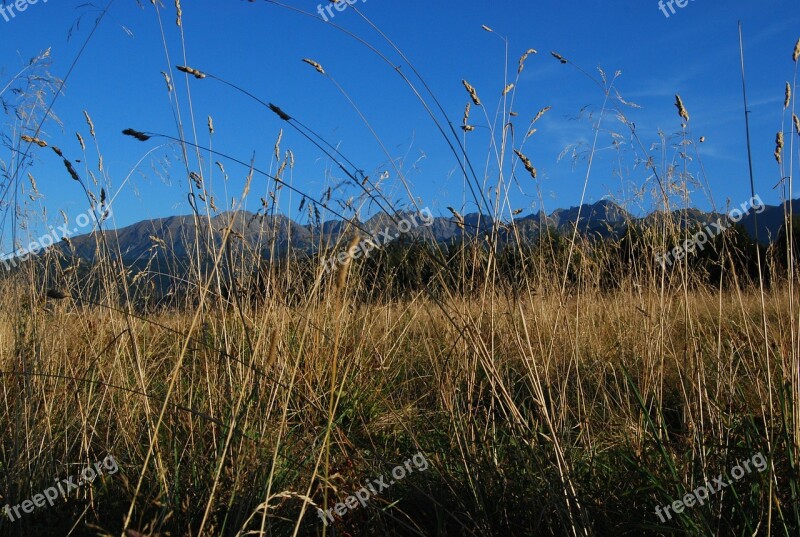 Tatry Mountains View Podhale Grass