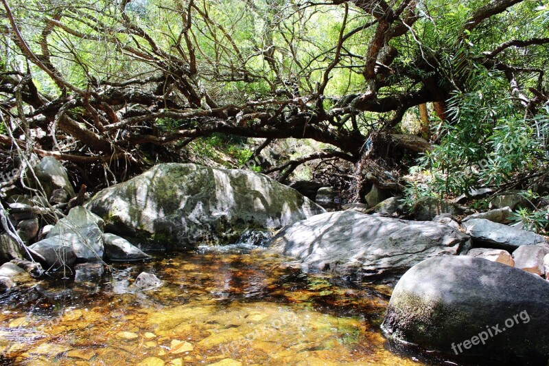 River South Africa Bach Rest Idyllic