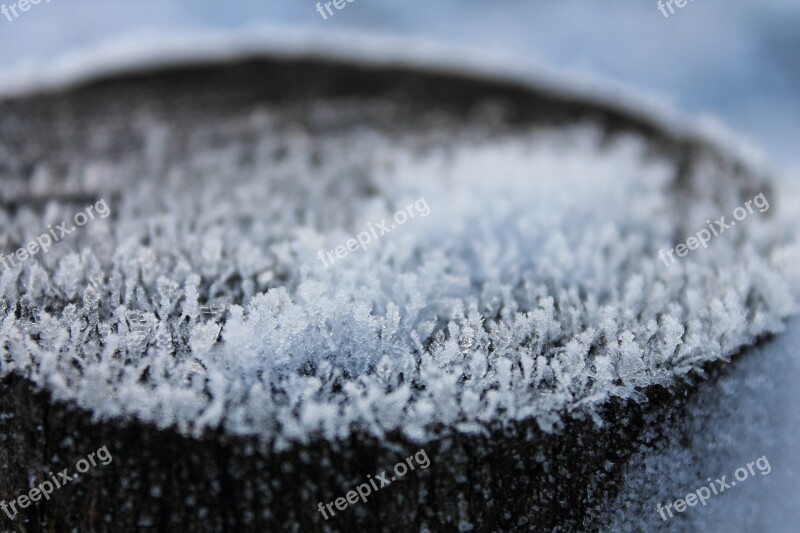 Ice Crystals Trunk Tree Frost Winter