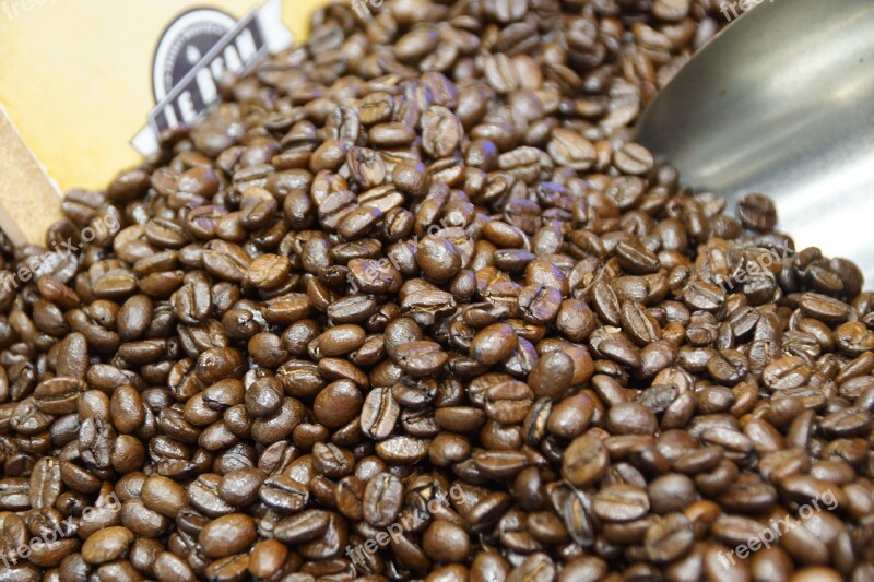 Coffee Roasting Bean Free Photos