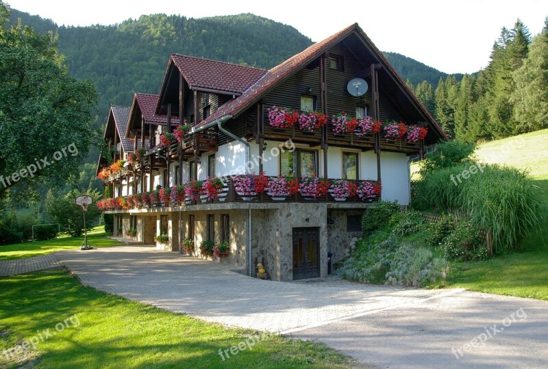 Slovenia Chalet Geraniums Free Photos