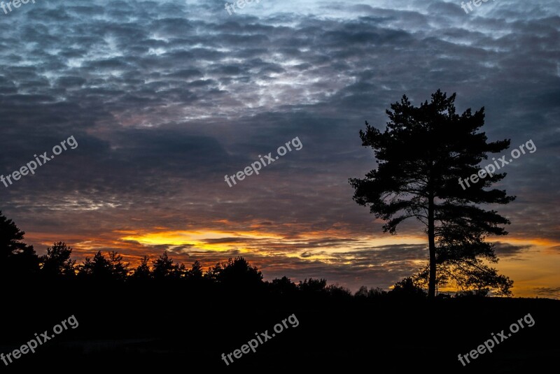 Setting Sun Cloudy Sky Tree Free Photos