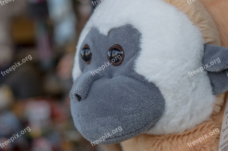 Monkey Animal Soft Toy Toys Cute