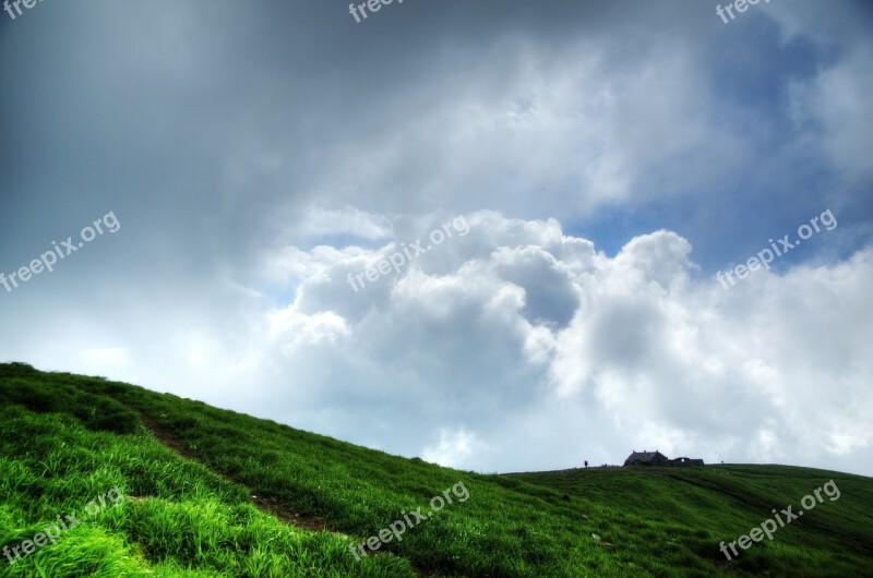 White Cloud Mountain Tree Wugongshan Free Photos