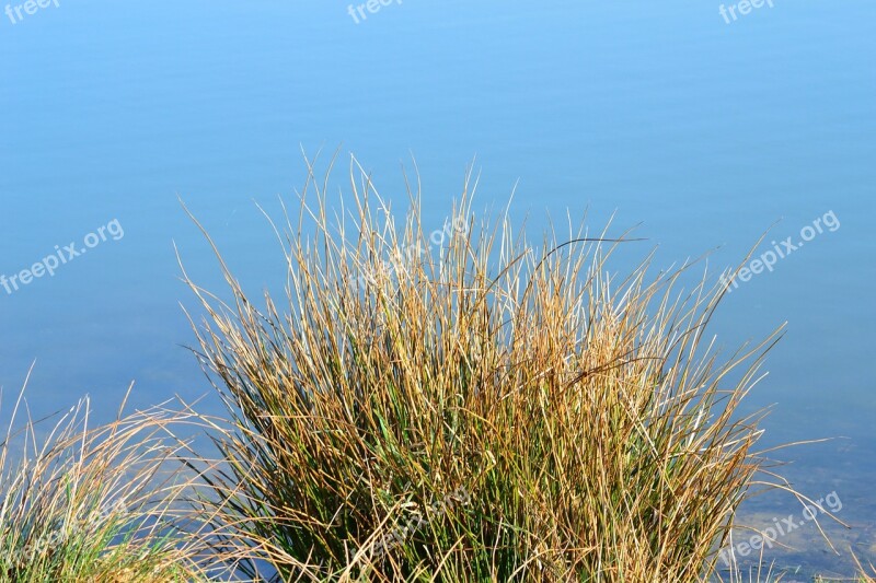 Landscape Water Nature Pond Green