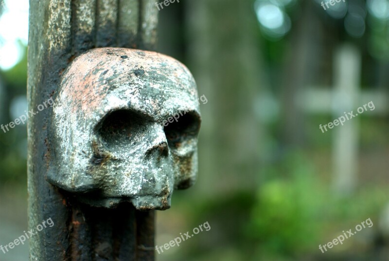 Cemetery Necropolis Skull Buried The Tomb Of