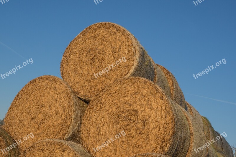 Straw Stroballen Round Bales Agriculture Bale