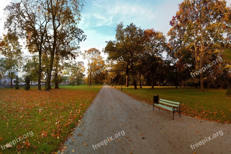 Autumn Park Tree Foliage Bench