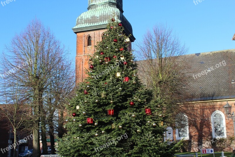 Fir Tree Christmas Christmas Tree Weihnachtsbaumschmuck Decoration