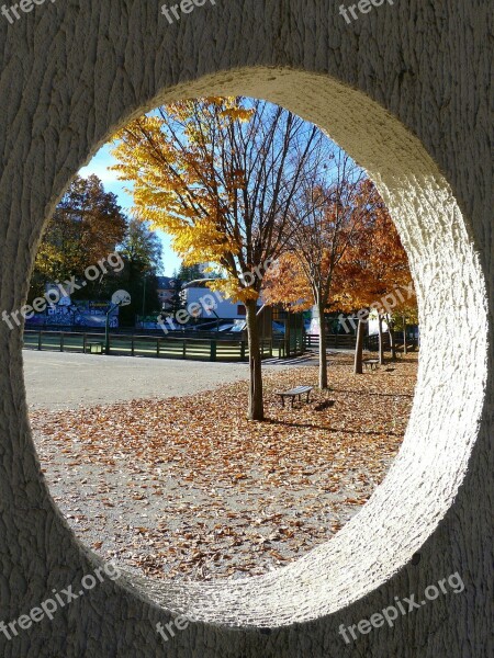 Landscapes Opening Concrete Contrast Trees