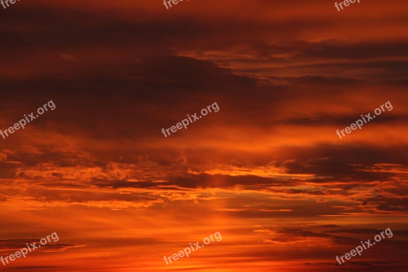 Sunset Sun Sky Cloud Red