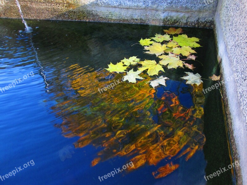 Water Color South Bohemia Reflection Autumn