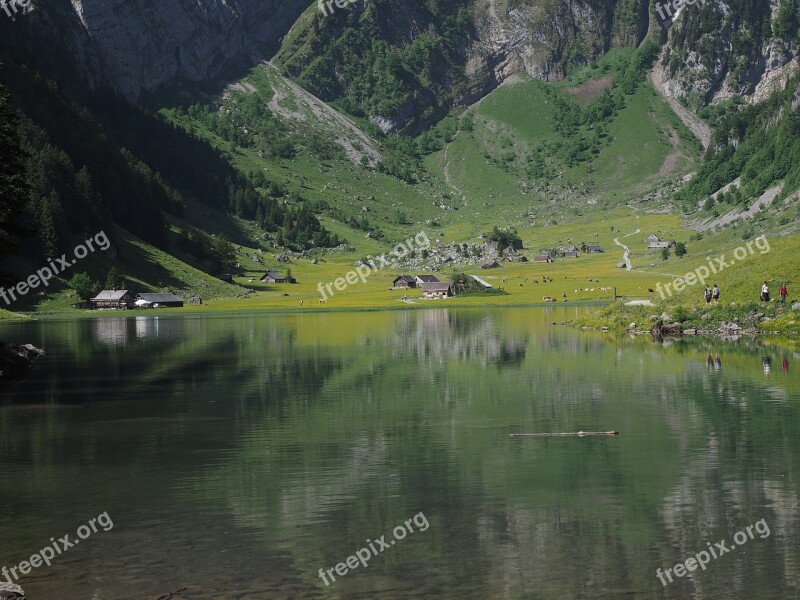 Bergsee Seealpsee Mountains Alpine Free Photos