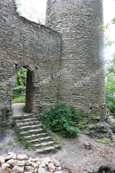 Castle Burgruine Look Forestry Free Photos