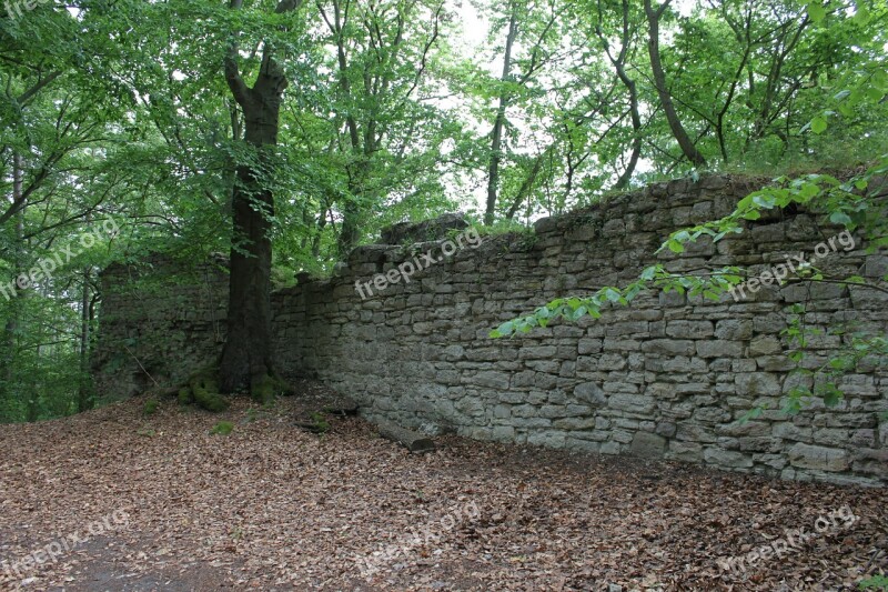 Castle Burgruine Look Forestry Free Photos