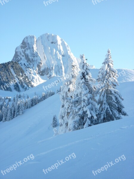 Wintry Gantrisch Massif Switzerland Mountains Firs