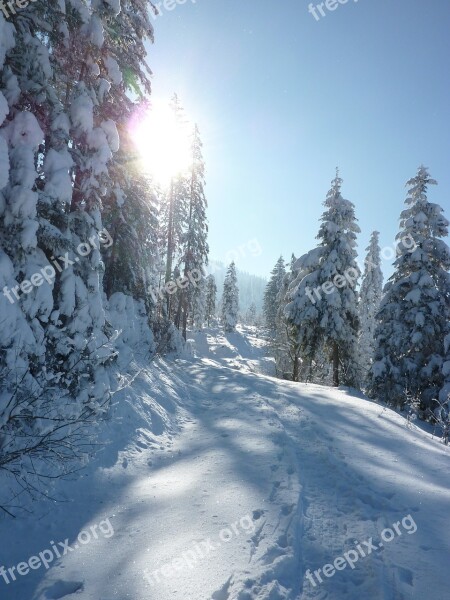 Wintry Snow Mountains Cold Snowy