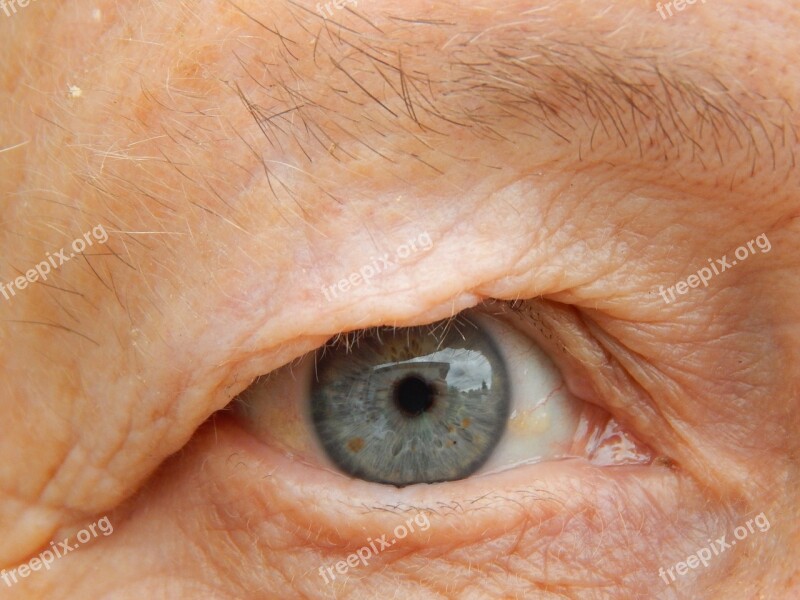 Eye View Grandma Free Photos