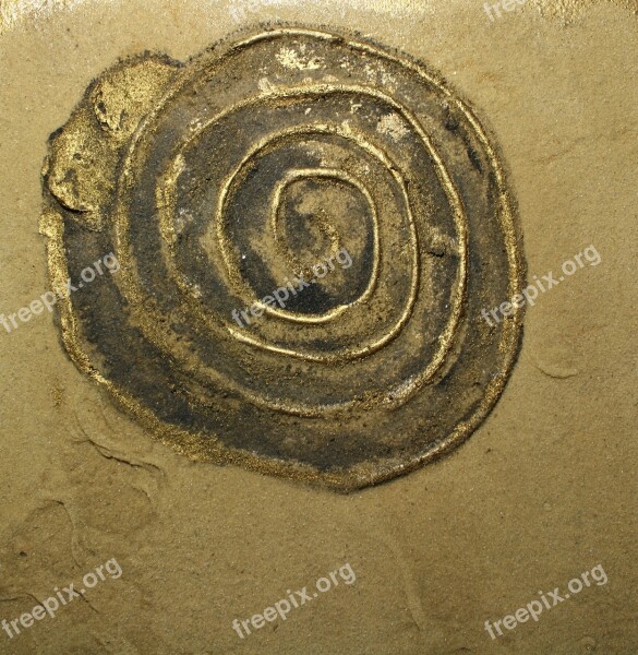 Sand Picture Snail Art Spiral Free Photos