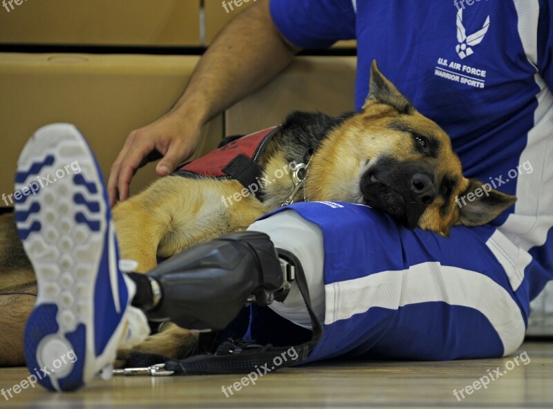 Paralympics Dog Canine Athlete Relax