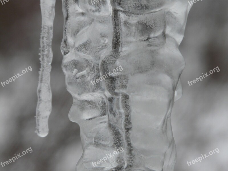 Icicle Ice Winter Frozen Cold