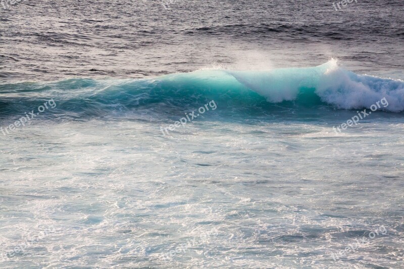 Wave Ocean Flood Sea Water