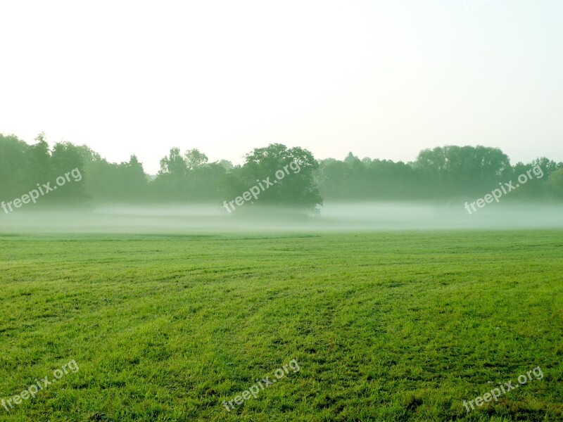 Fog Meadow Ground Landscape Mist