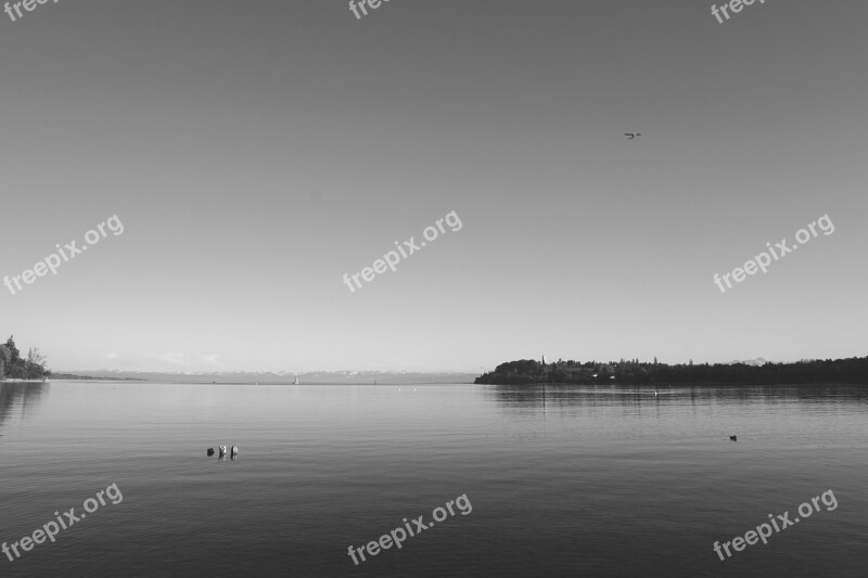 Lake Constance Lake Quiet Black And White Rest