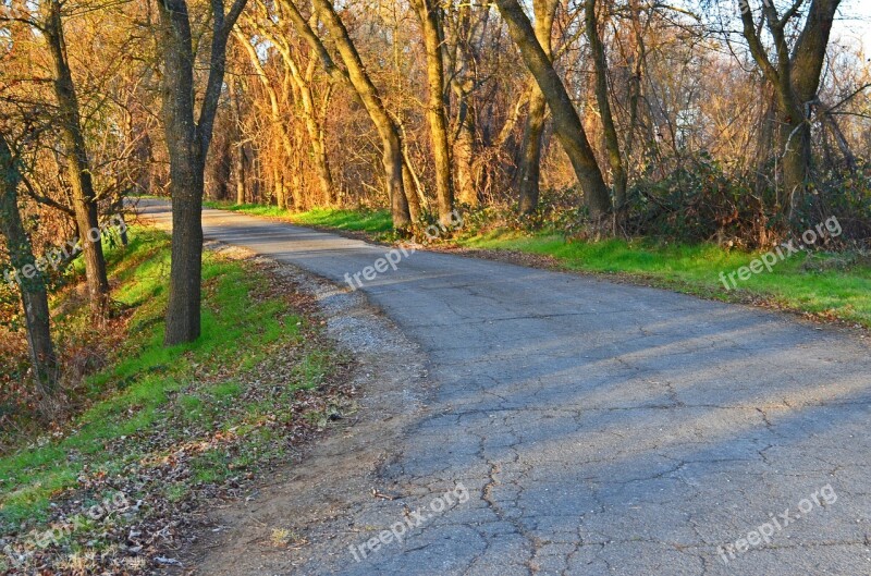 Road Park Nature Landscape Forest