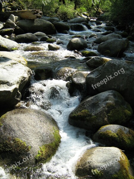 Stream Creek Water River Nature