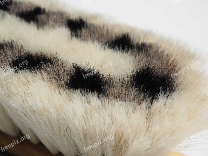 Brush Goat Hair Pattern Black White