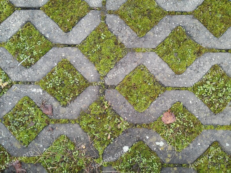 Ground Squares Moss Concrete Green