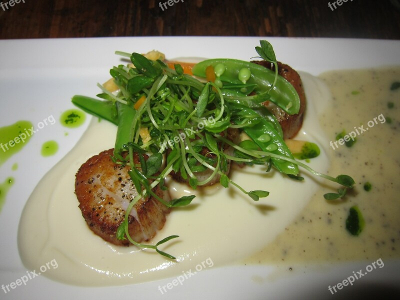 Scallops Seafood Di Food Meal